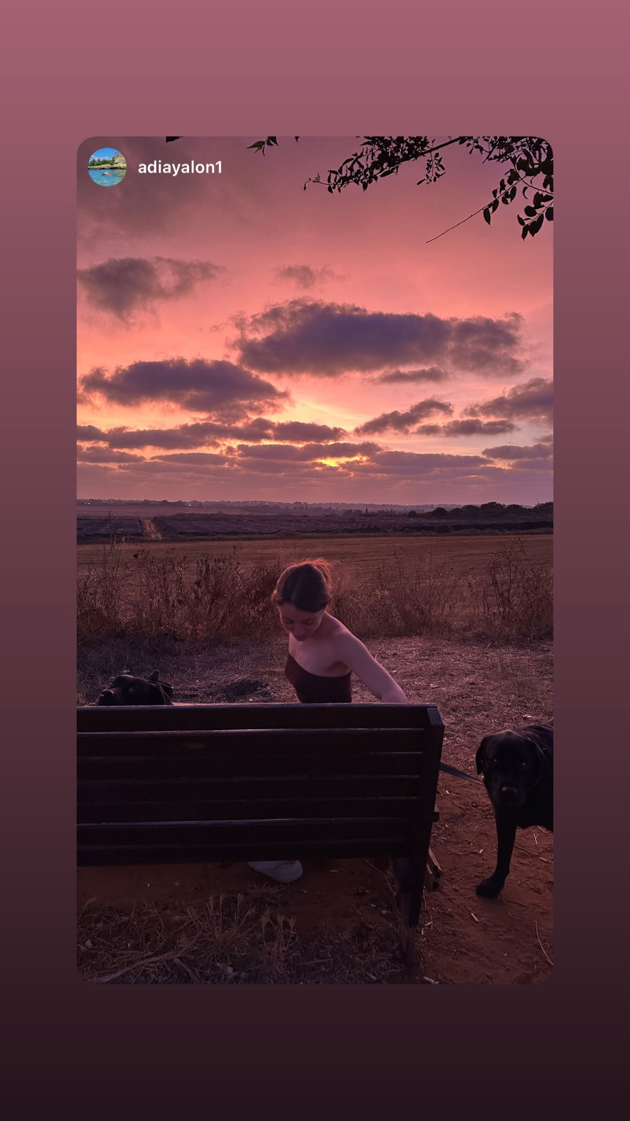 talweisswasser instagram image archive image