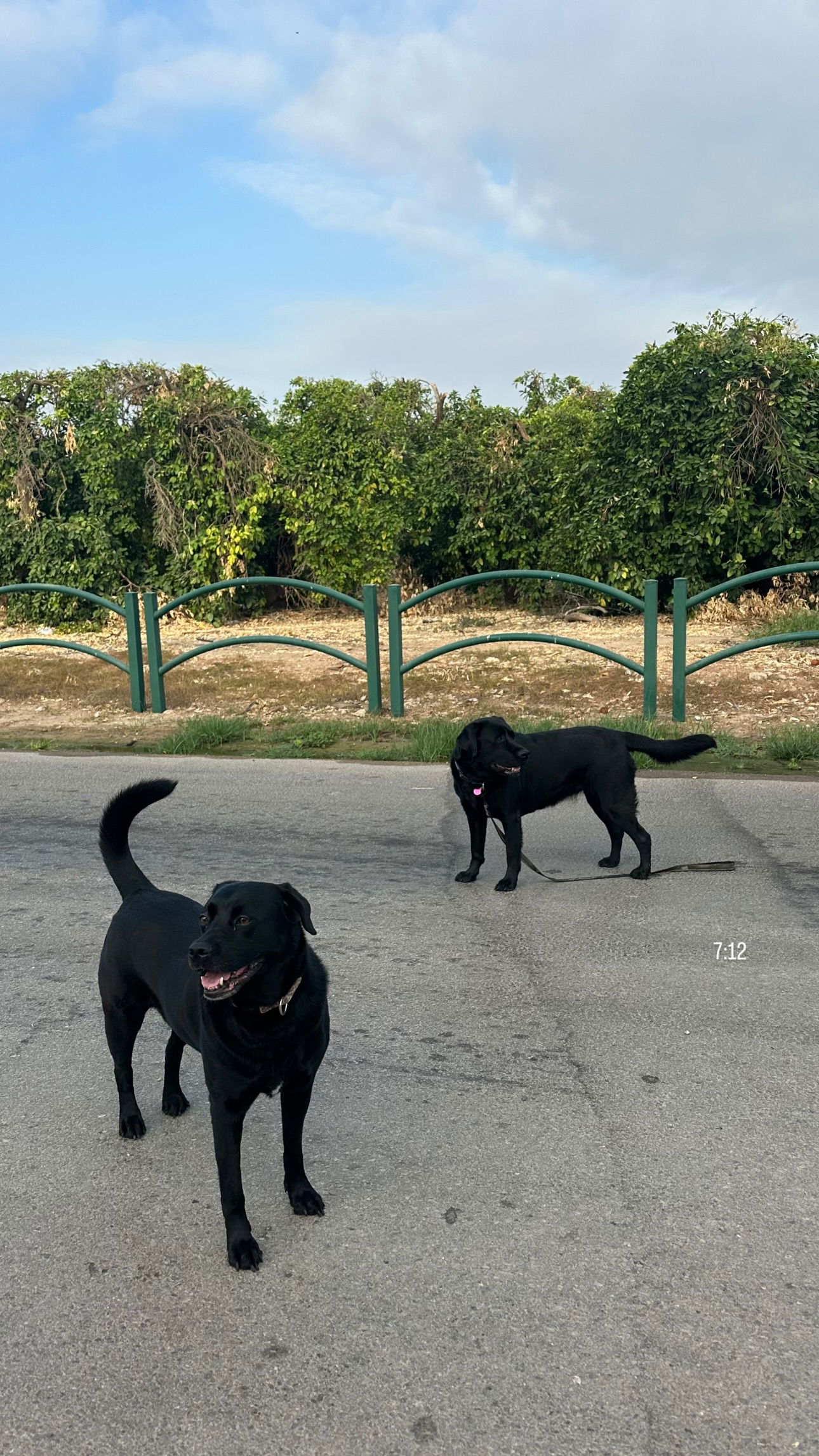 talweisswasser instagram image archive image