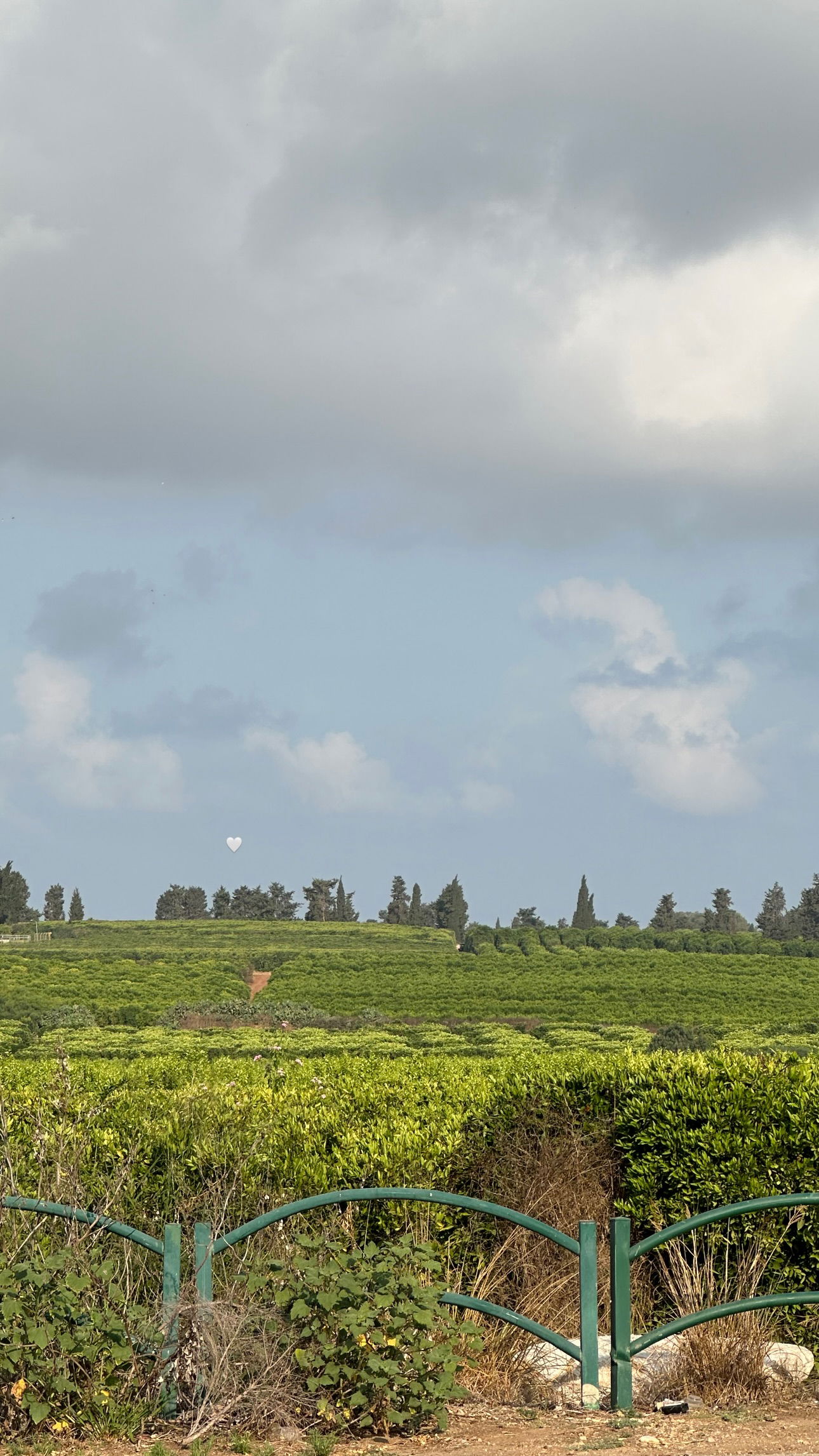 talweisswasser instagram image archive image