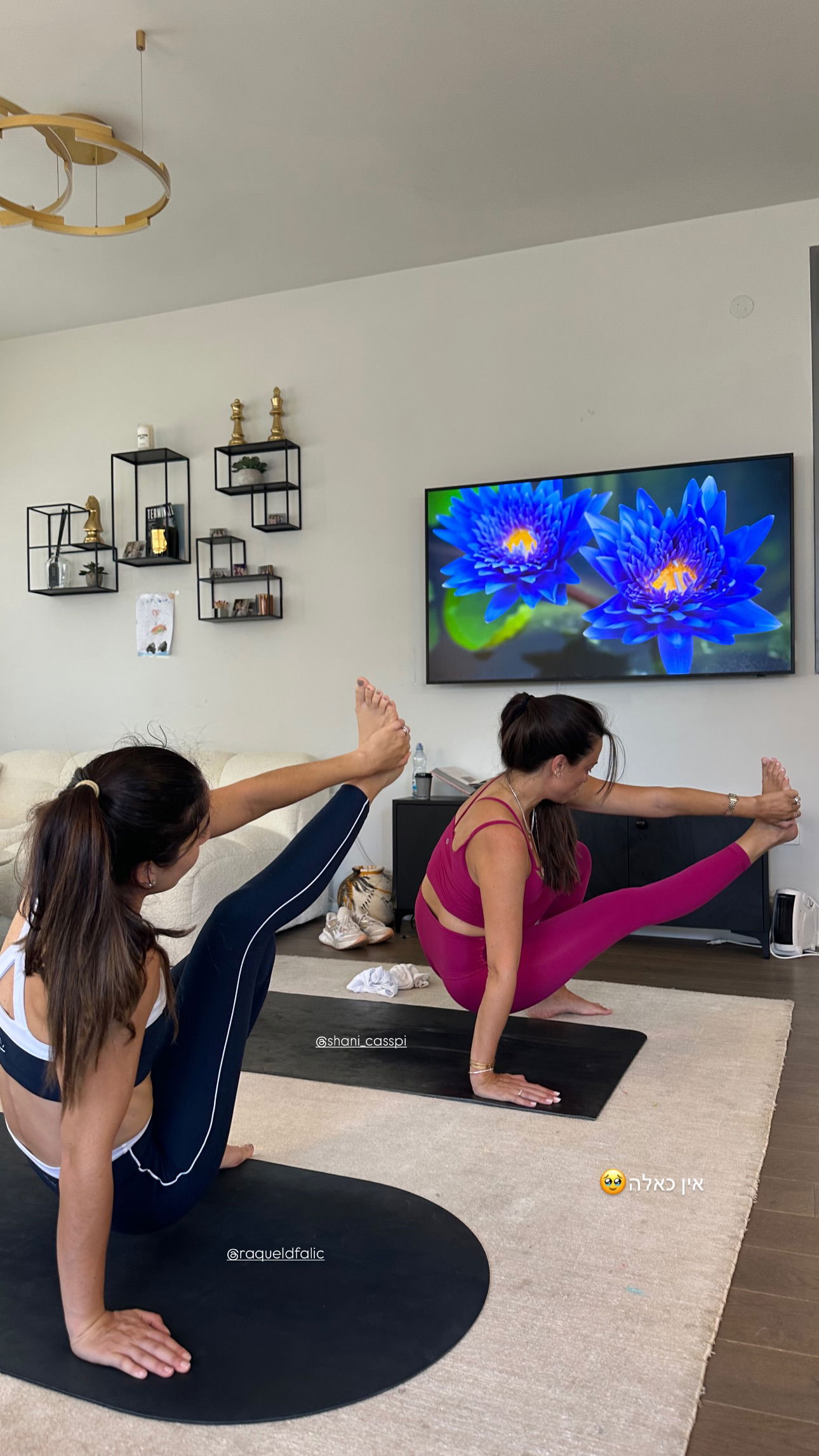 talweisswasser instagram image archive image