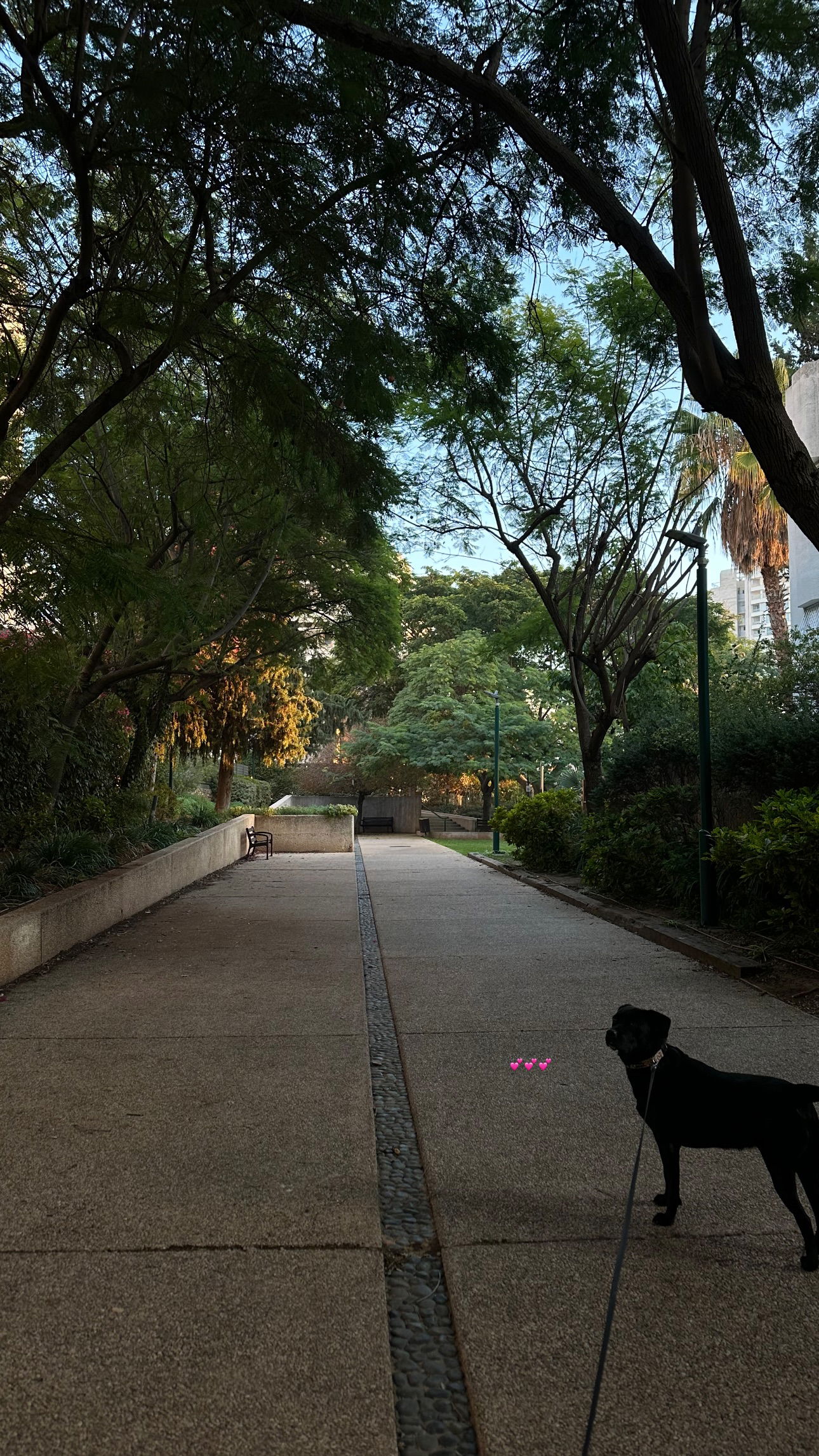 talweisswasser instagram image archive image