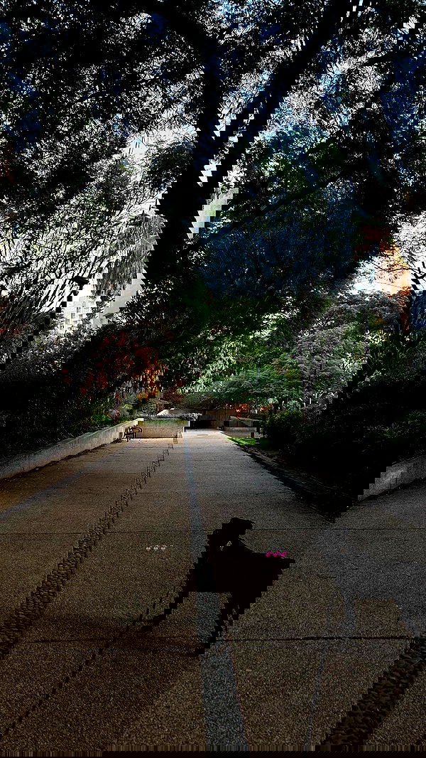 talweisswasser image ~ Altpins