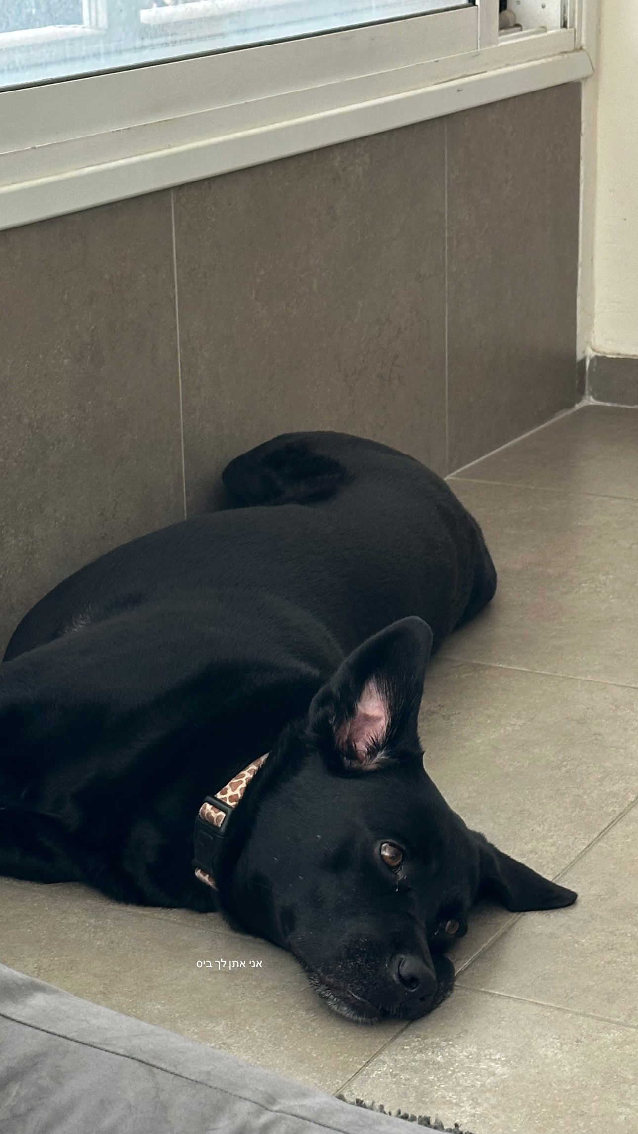 talweisswasser instagram image archive image