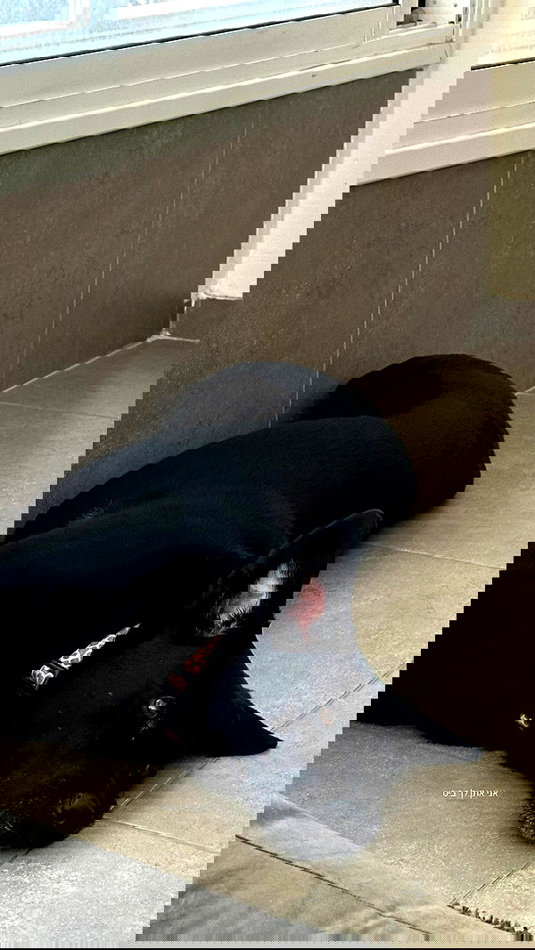 talweisswasser image ~ Altpins