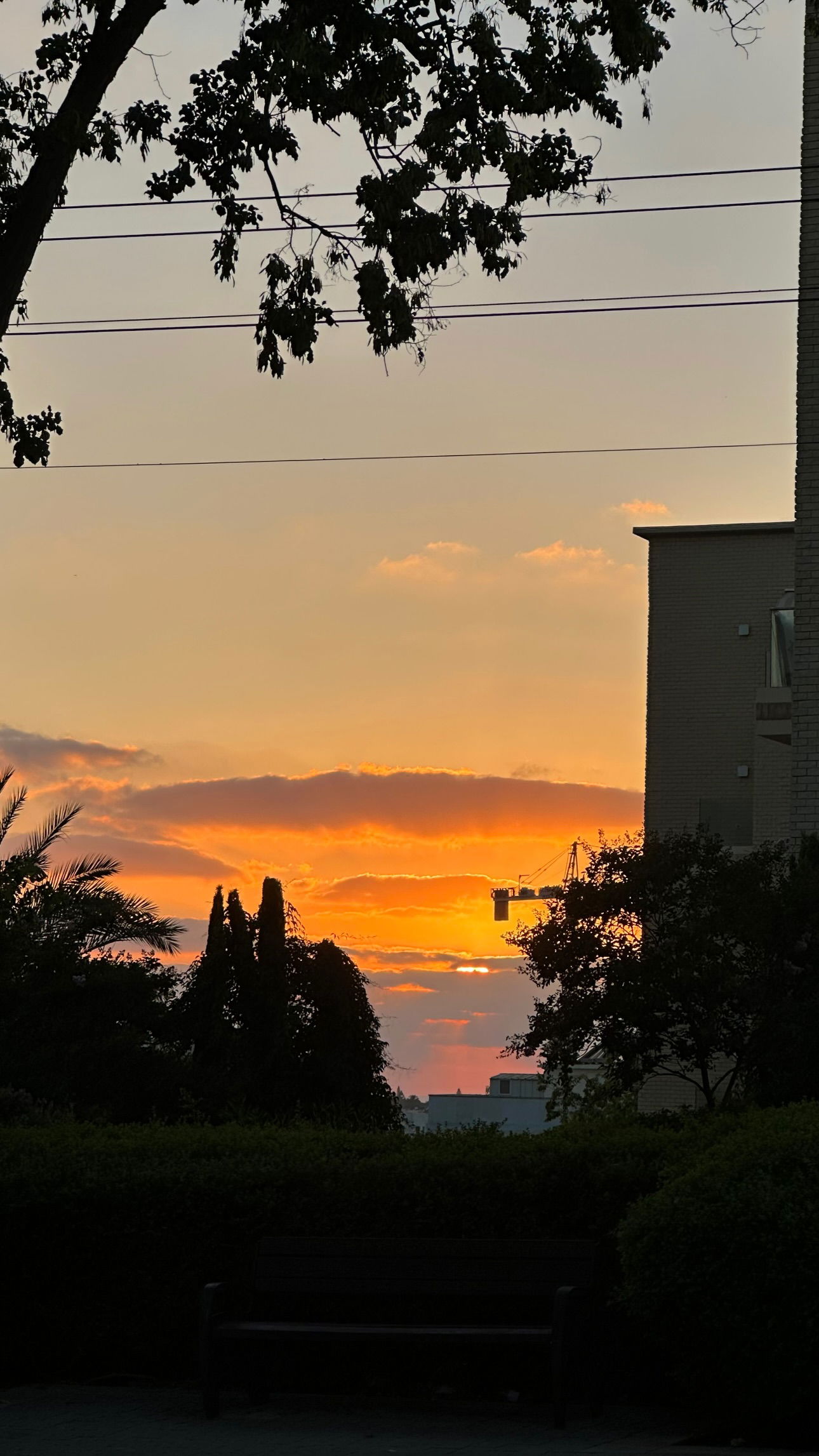 talweisswasser instagram image archive image