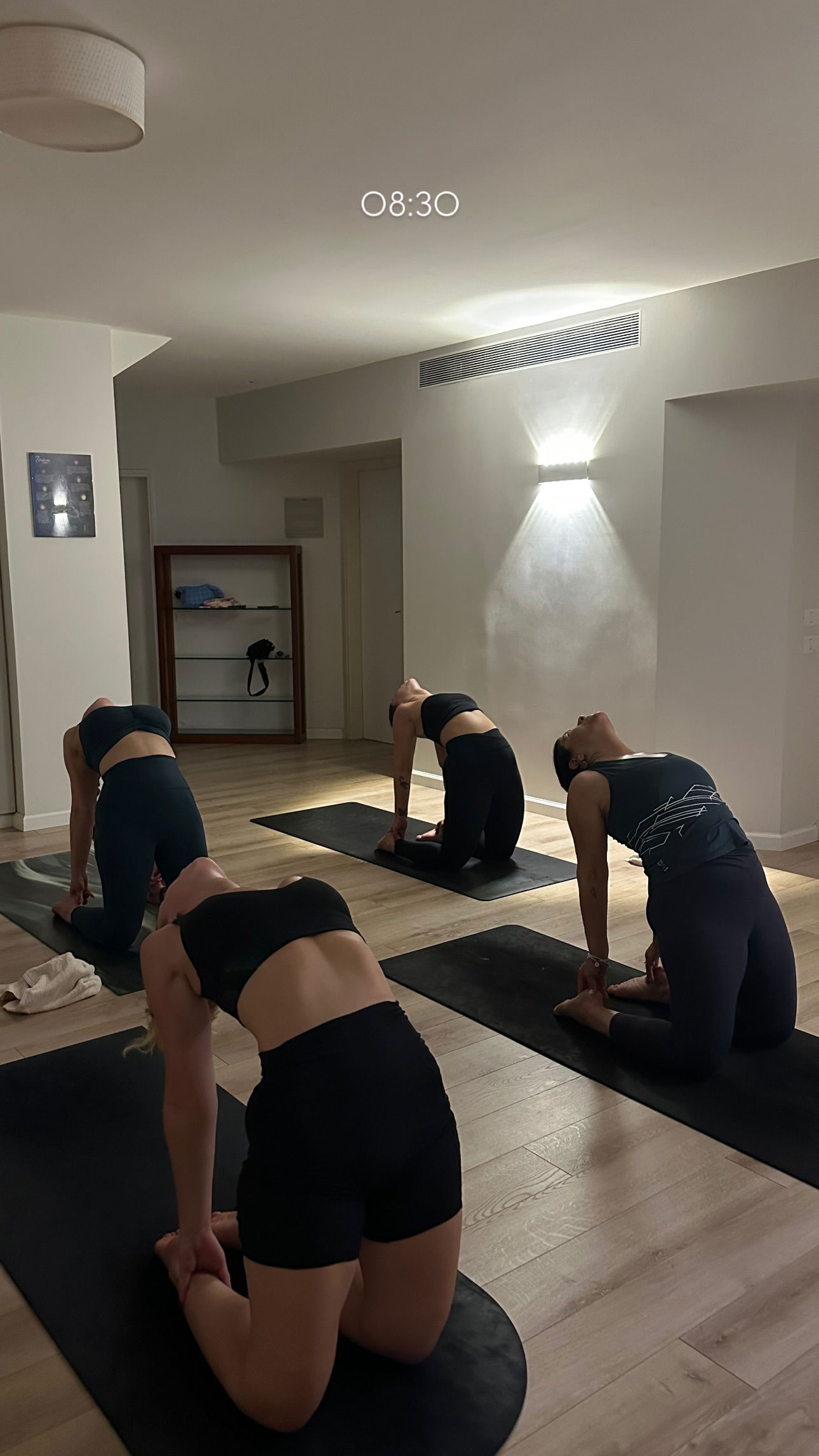 talweisswasser instagram image archive image