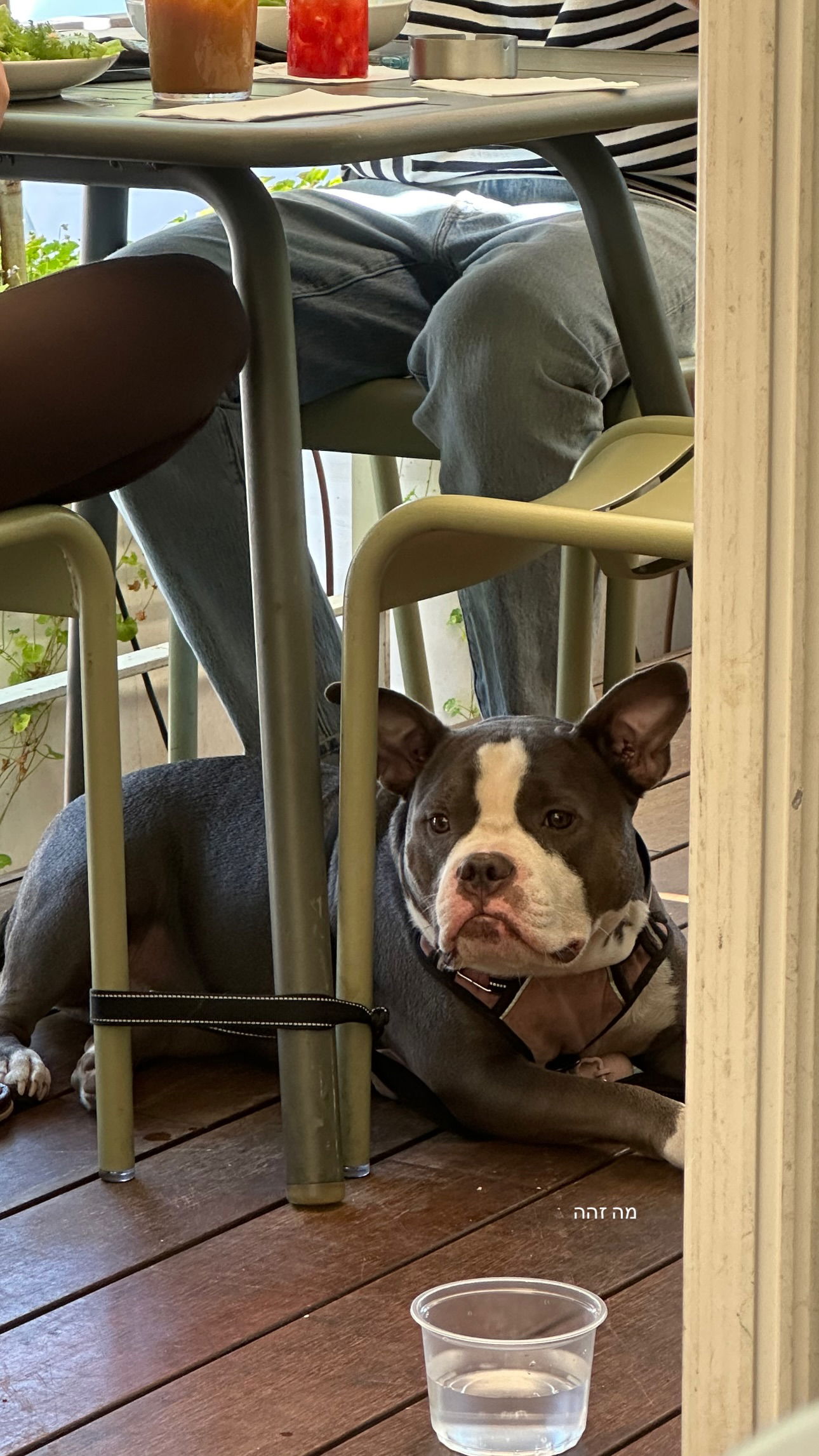 talweisswasser instagram image archive image