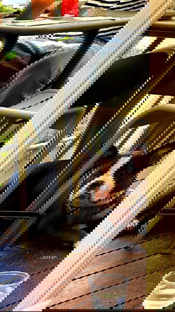 talweisswasser image ~ Altpins