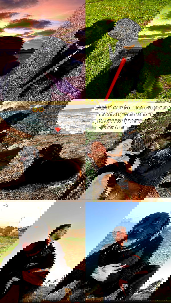 talweisswasser image ~ Altpins