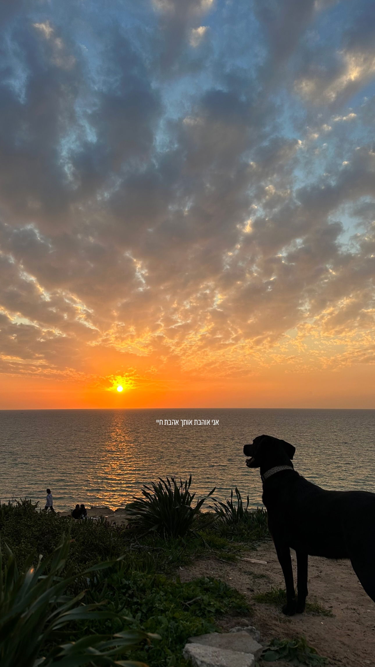 talweisswasser instagram image archive image