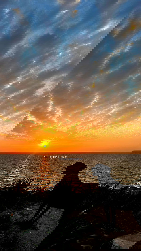 talweisswasser image ~ Altpins