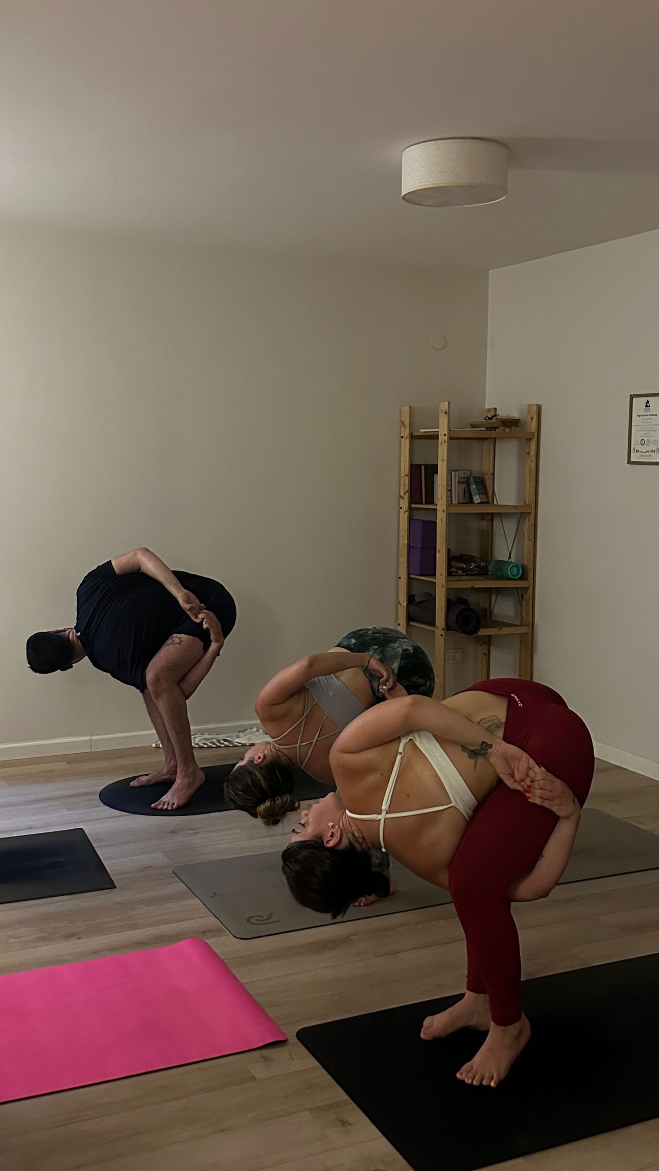 talweisswasser instagram image archive image