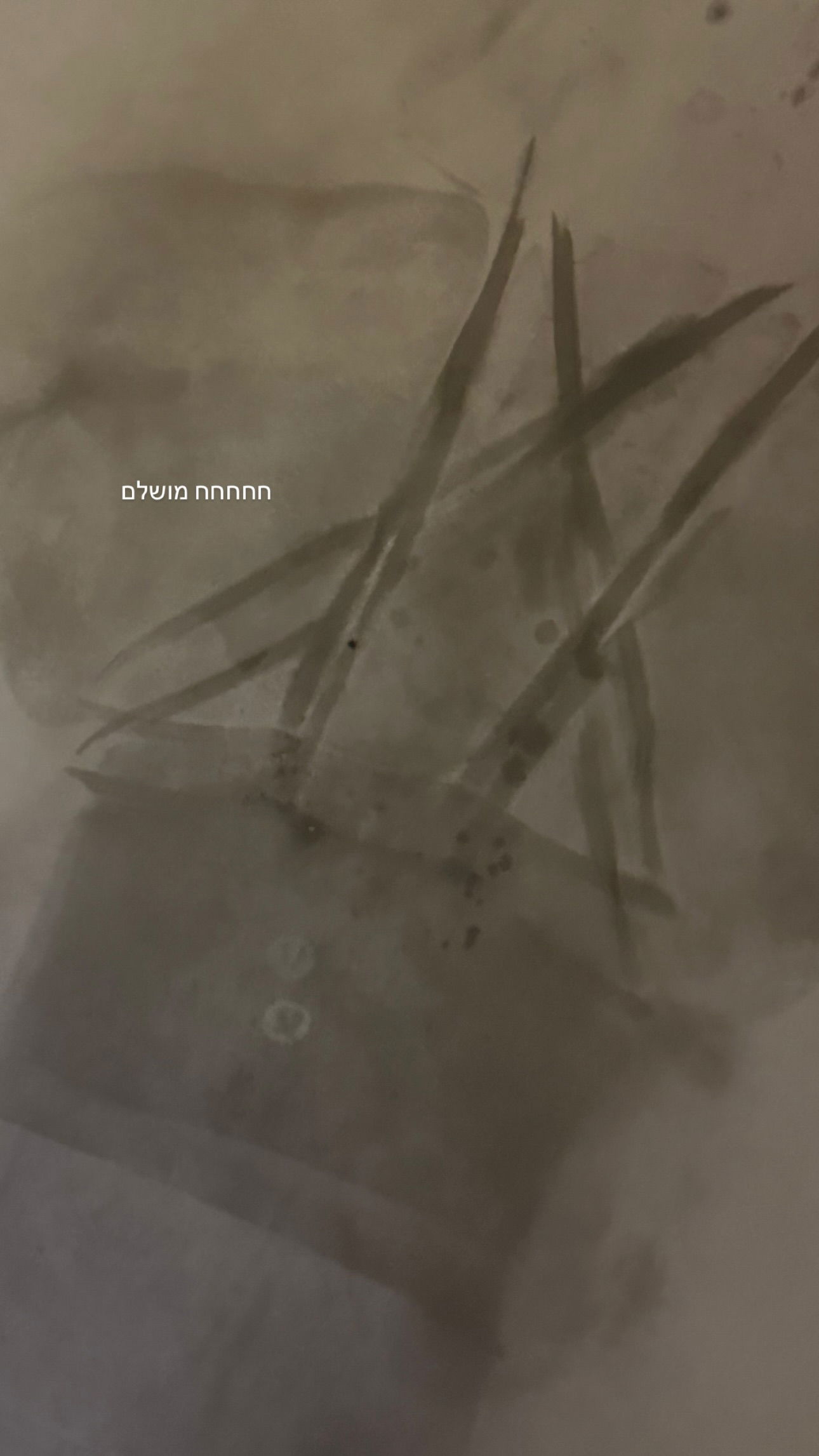 talweisswasser instagram image archive image