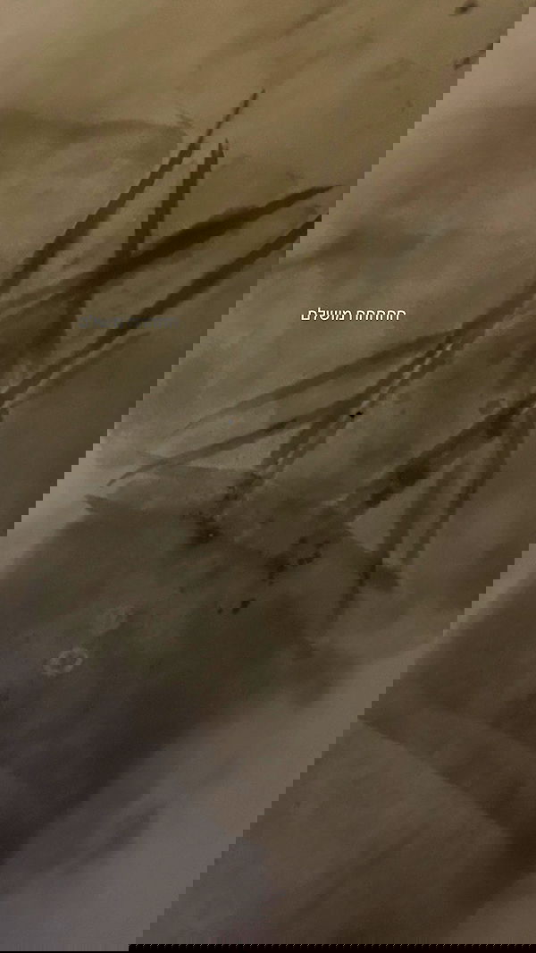 talweisswasser image ~ Altpins