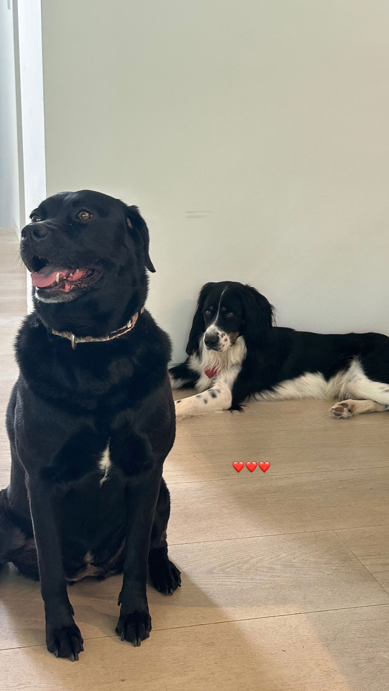 talweisswasser instagram image archive image