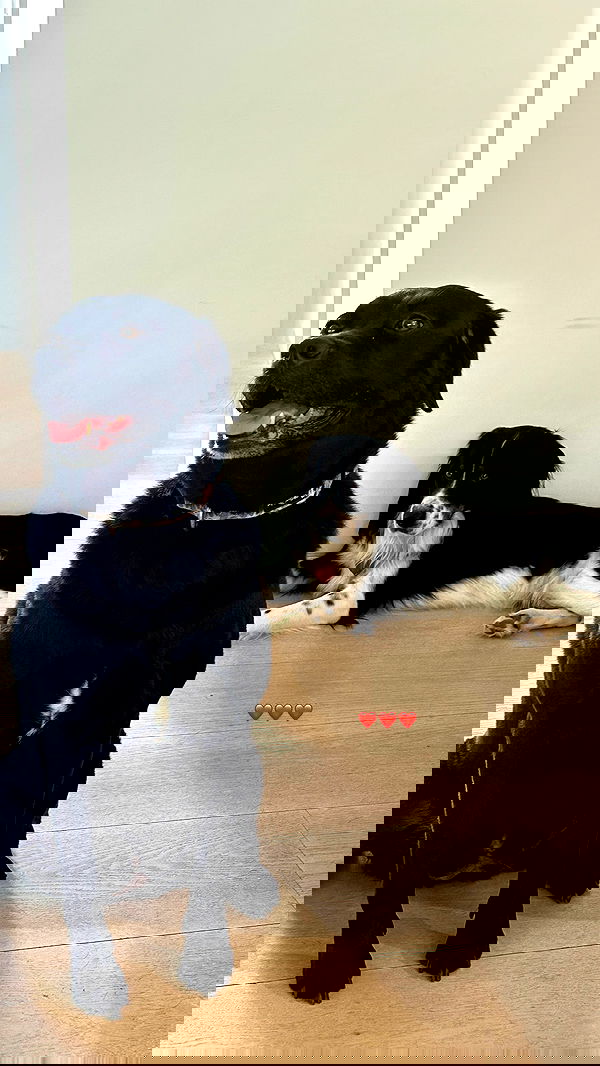 talweisswasser image ~ Altpins