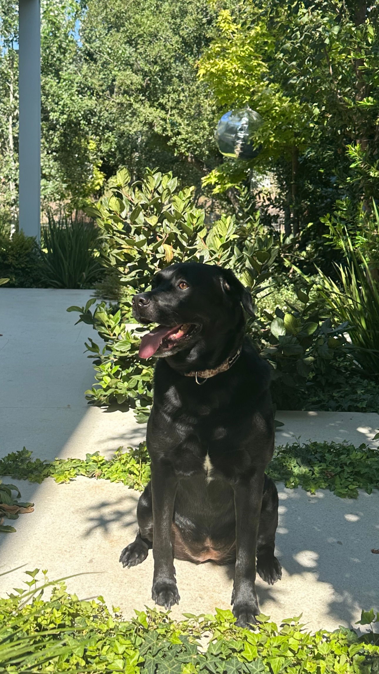 talweisswasser instagram image archive image