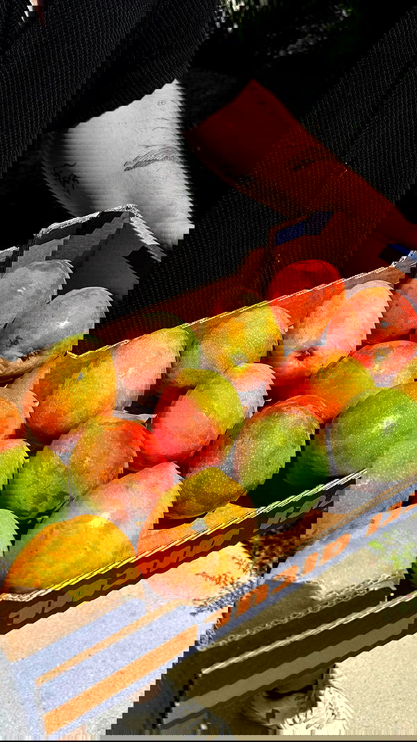 talweisswasser image ~ Altpins