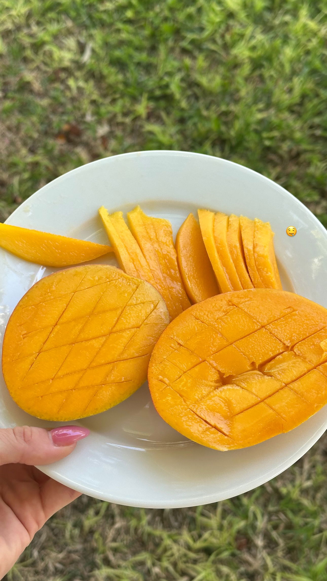 talweisswasser instagram image archive image