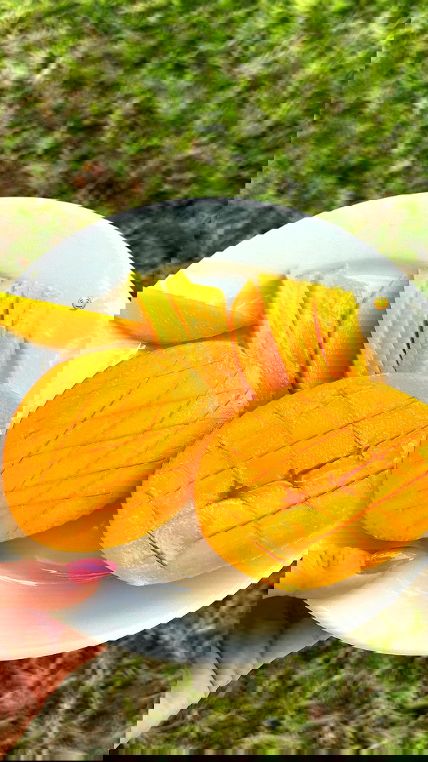 talweisswasser image ~ Altpins