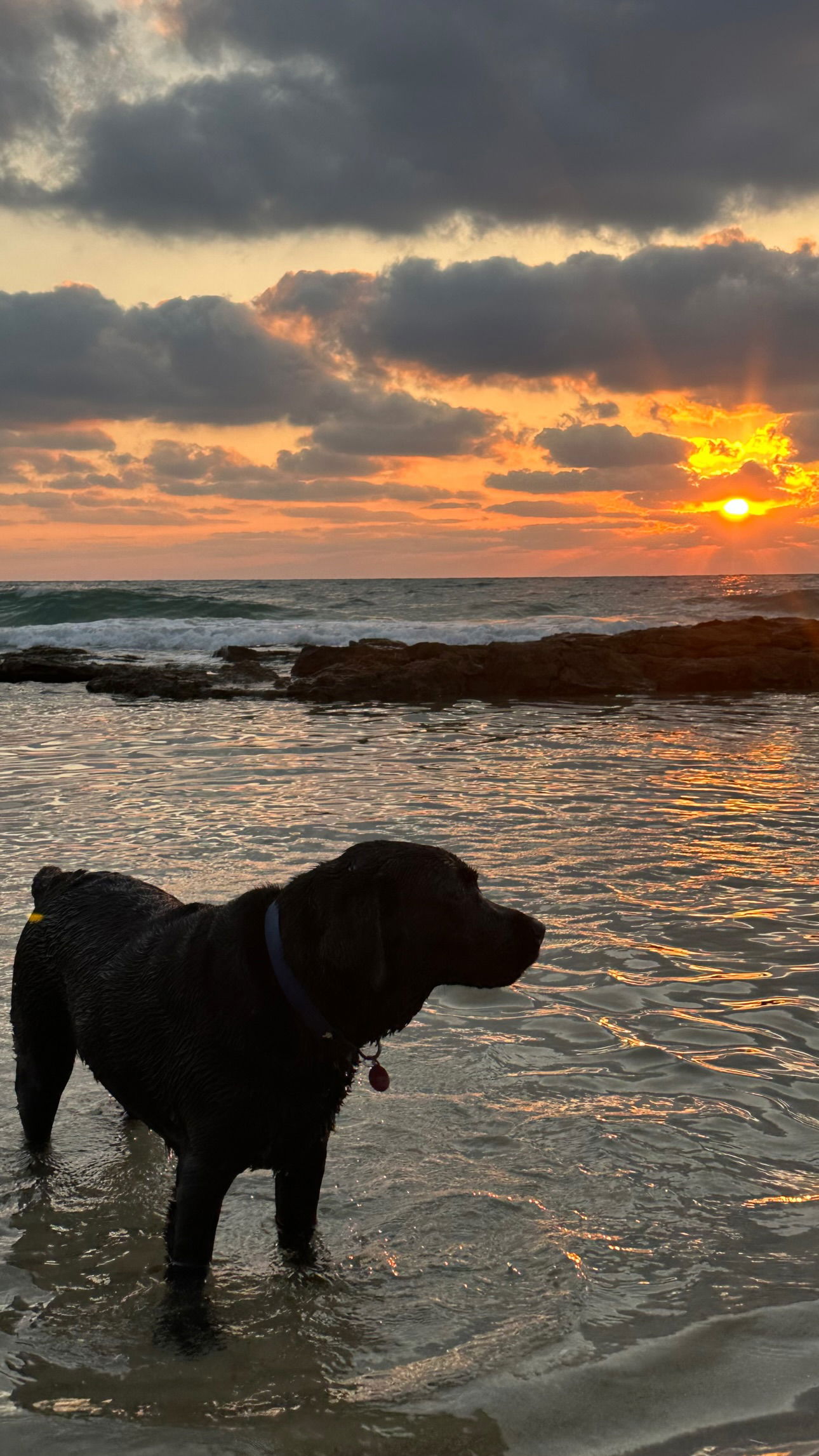 talweisswasser instagram image archive image