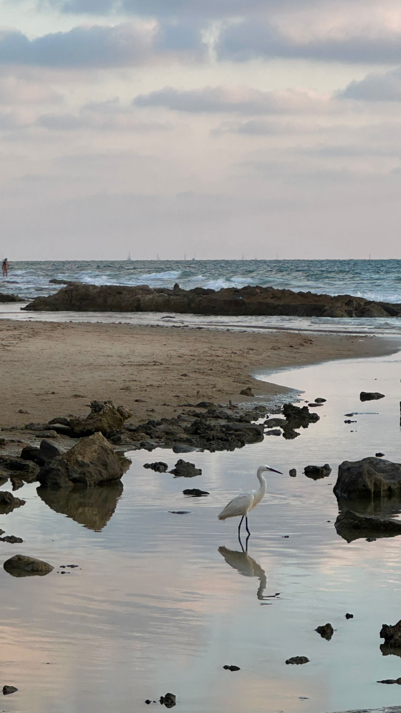 talweisswasser instagram image archive image