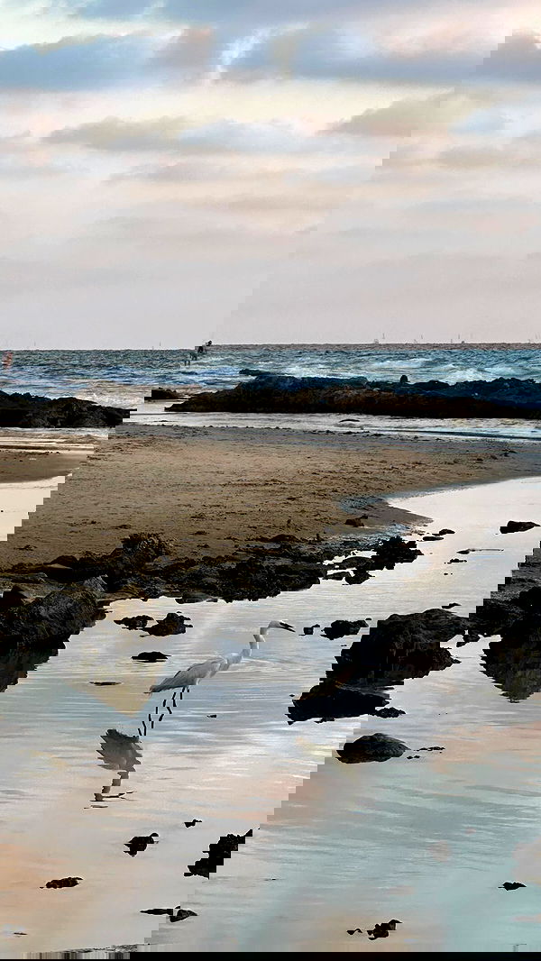 talweisswasser image ~ Altpins