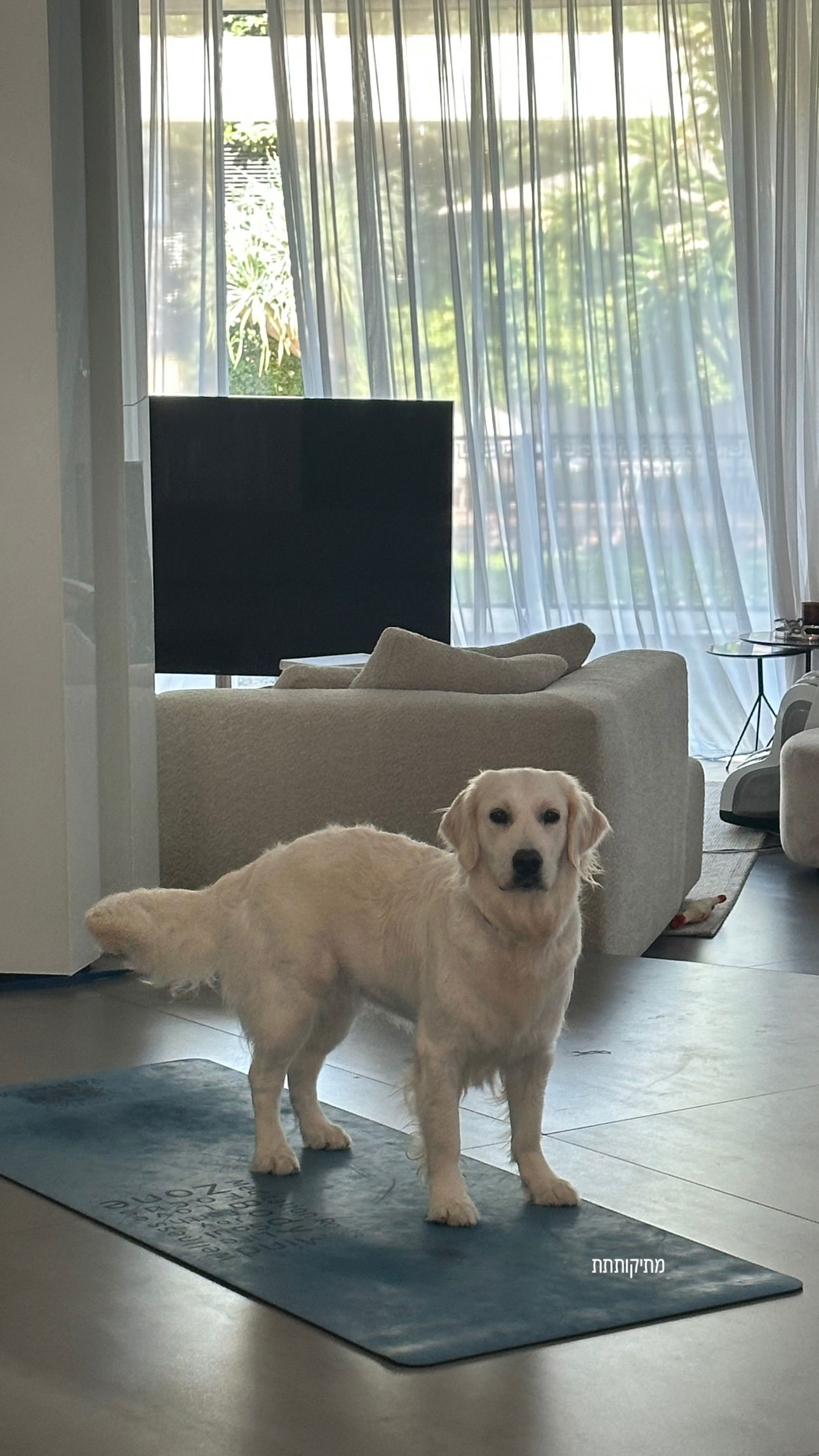 talweisswasser instagram image archive image