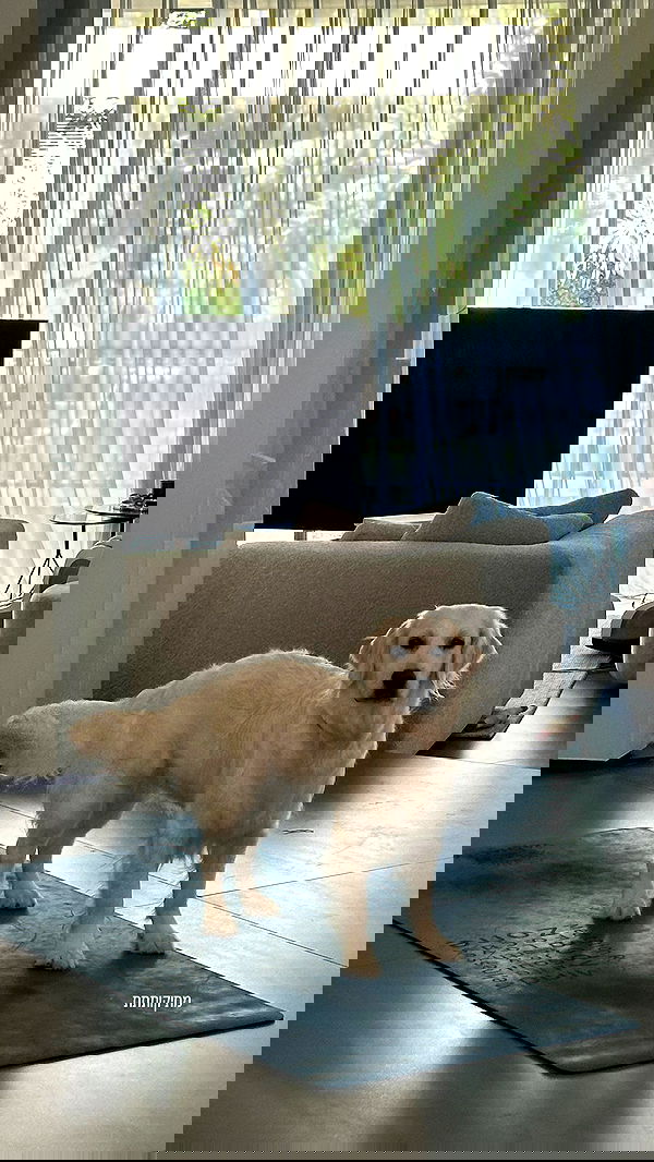 talweisswasser image ~ Altpins