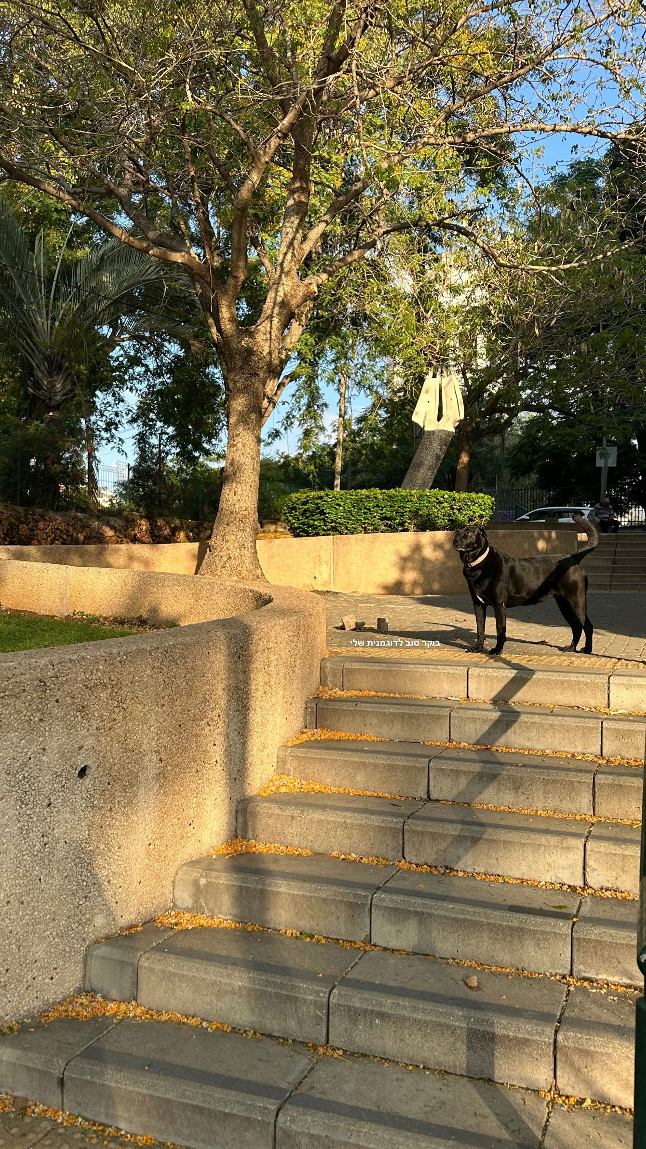 talweisswasser instagram image archive image