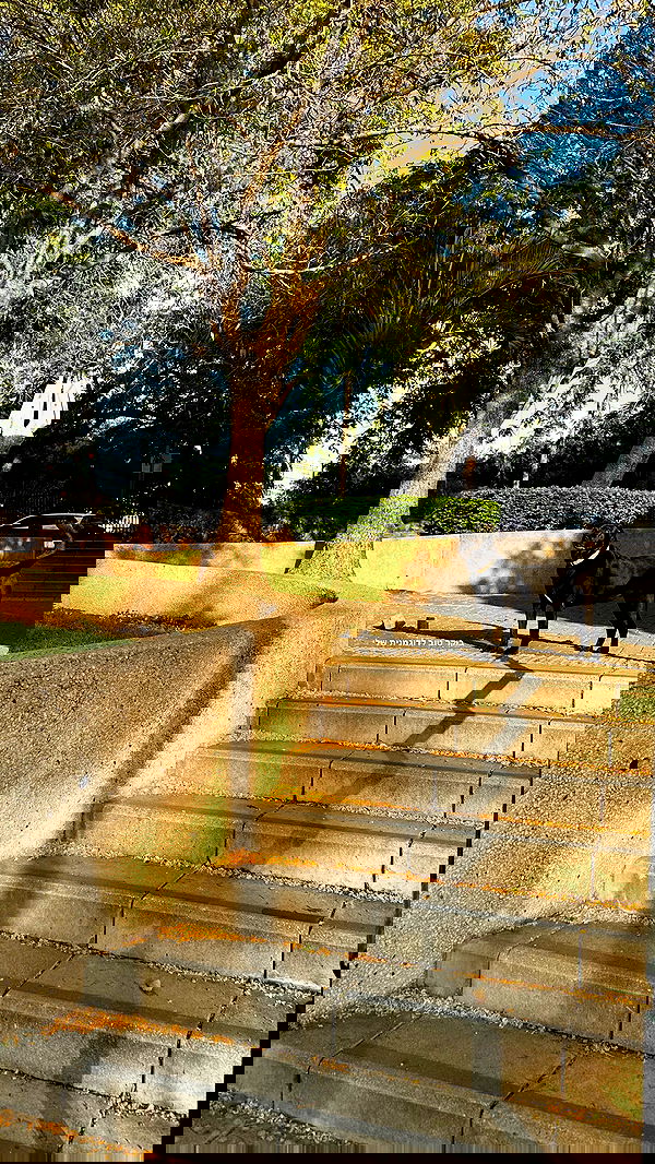 talweisswasser image ~ Altpins