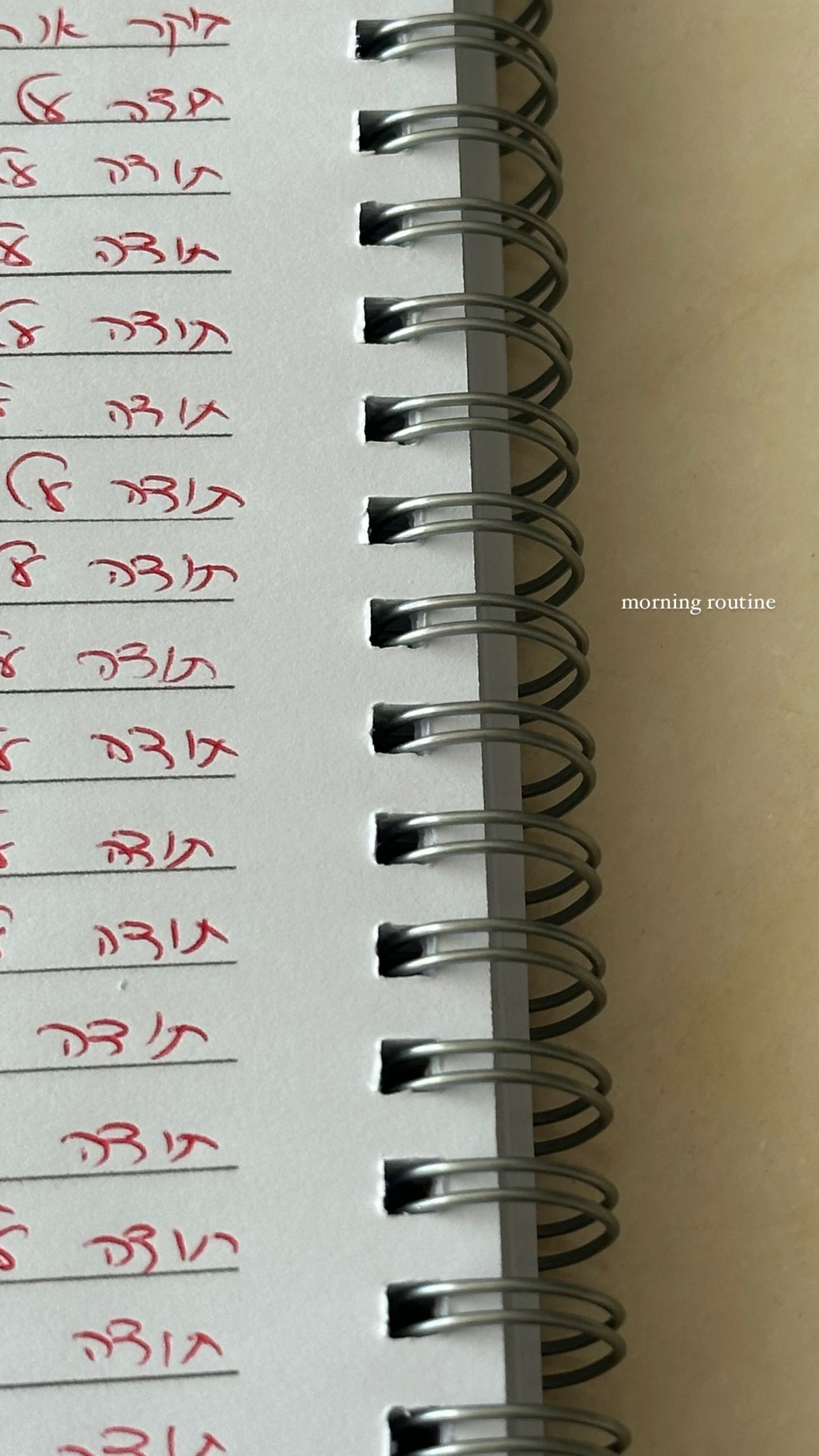 talweisswasser instagram image archive image