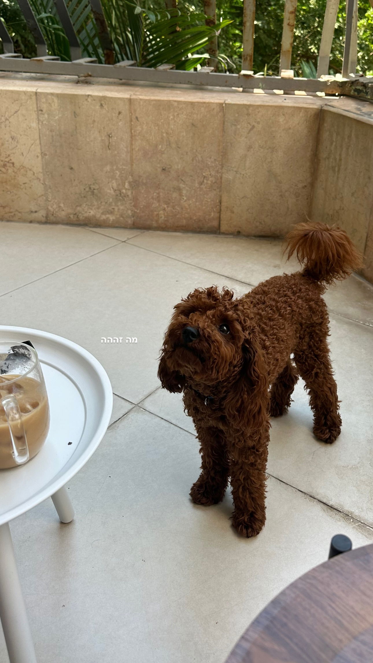 talweisswasser instagram image archive image