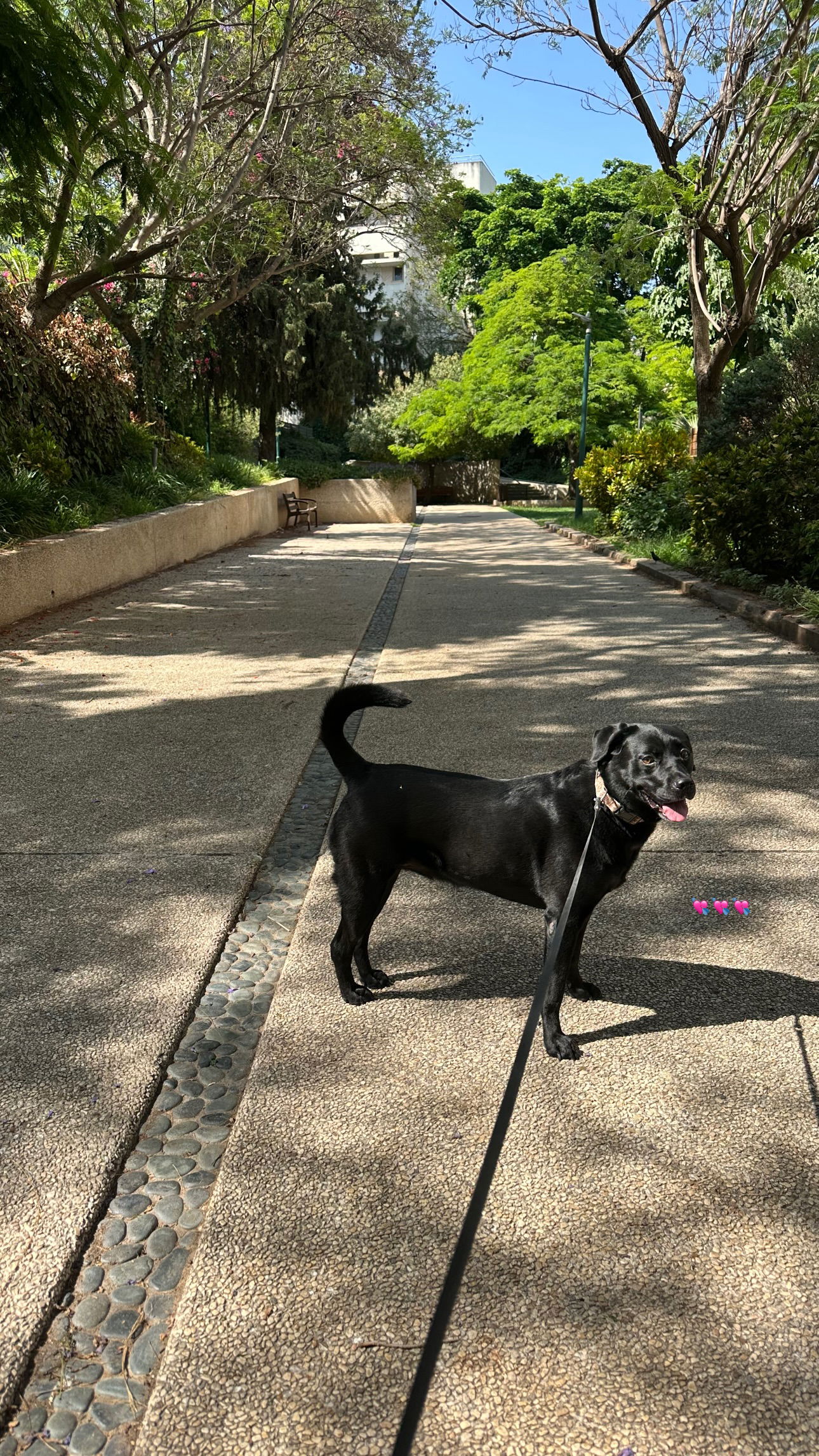 talweisswasser instagram image archive image