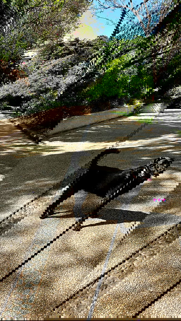 talweisswasser image ~ Altpins