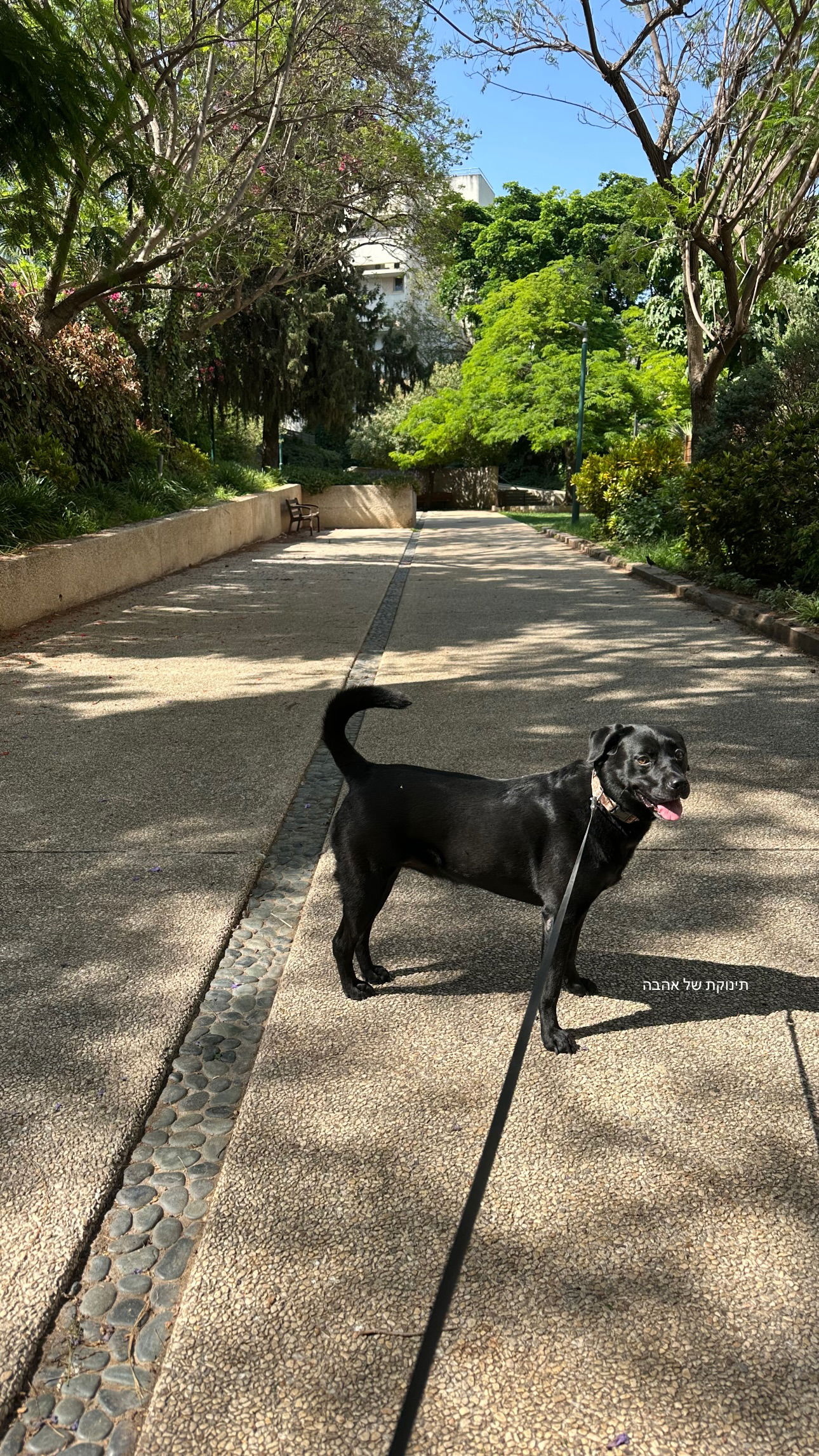 talweisswasser instagram image archive image