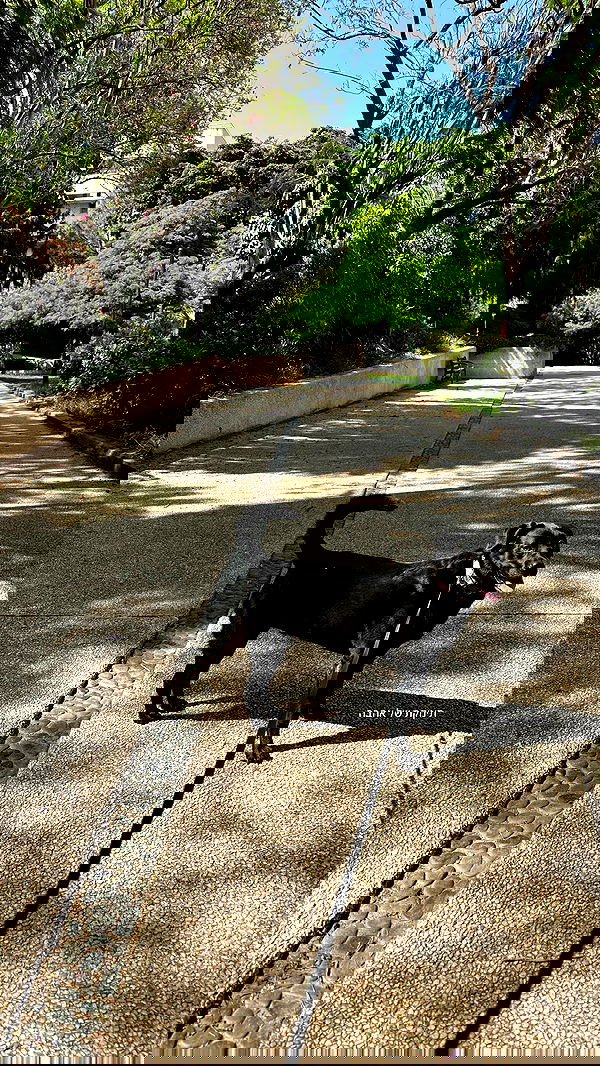 talweisswasser image ~ Altpins