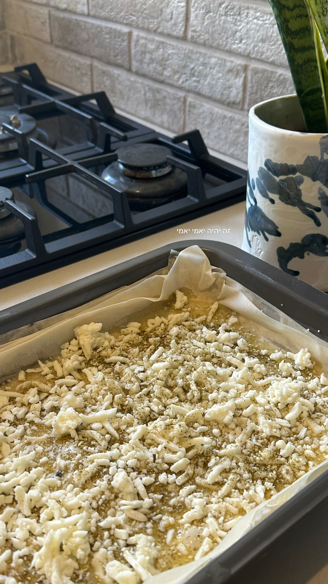 talweisswasser instagram image archive image