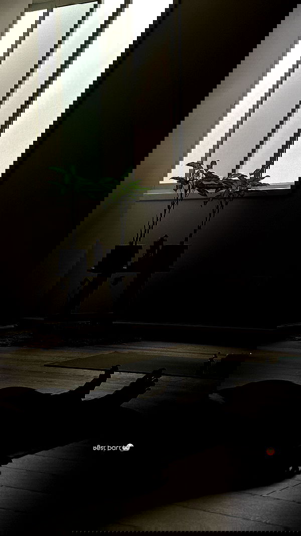 talweisswasser image ~ Altpins