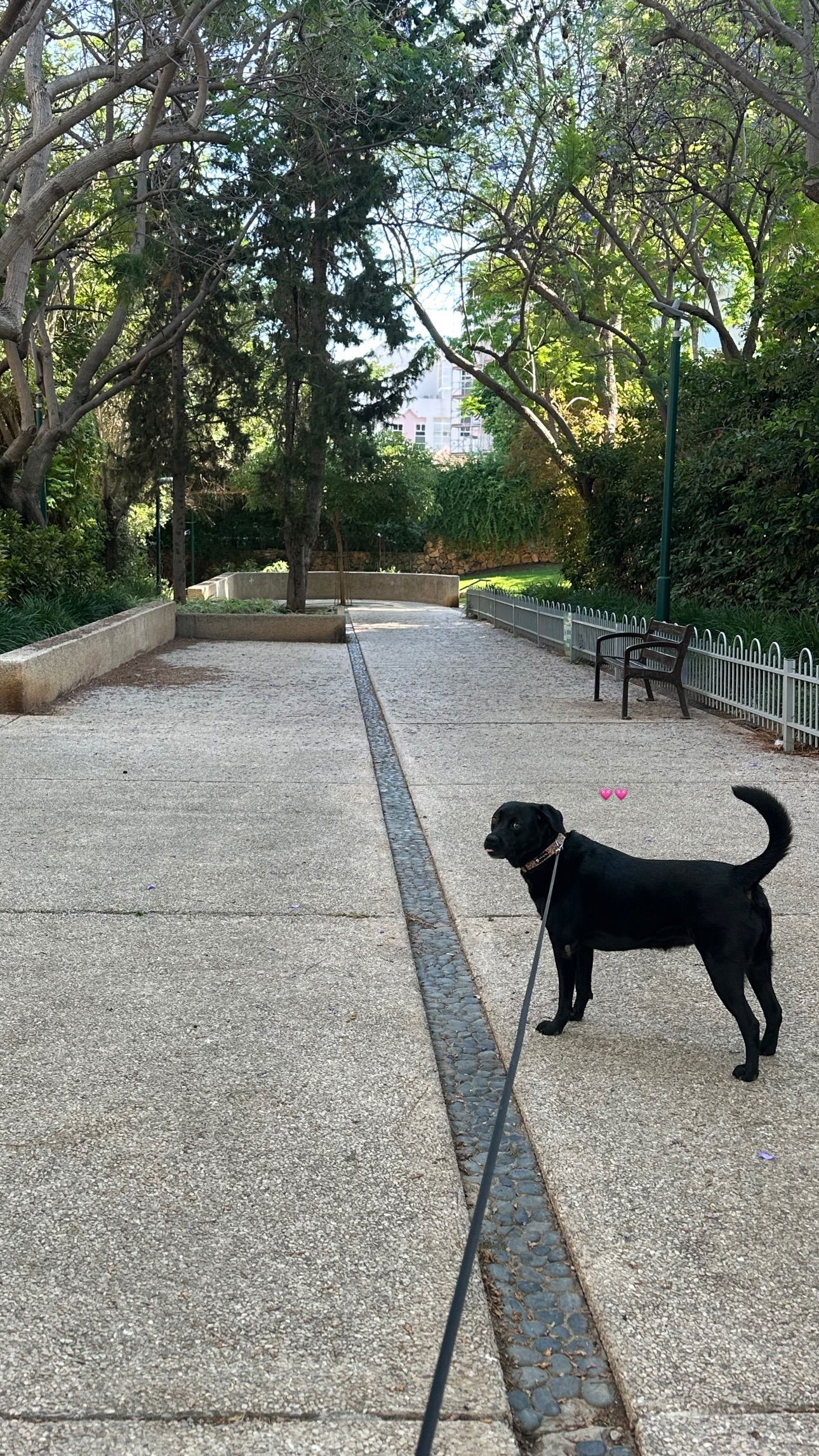 talweisswasser instagram image archive image