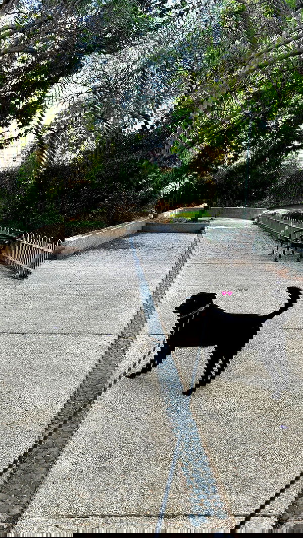 talweisswasser image ~ Altpins