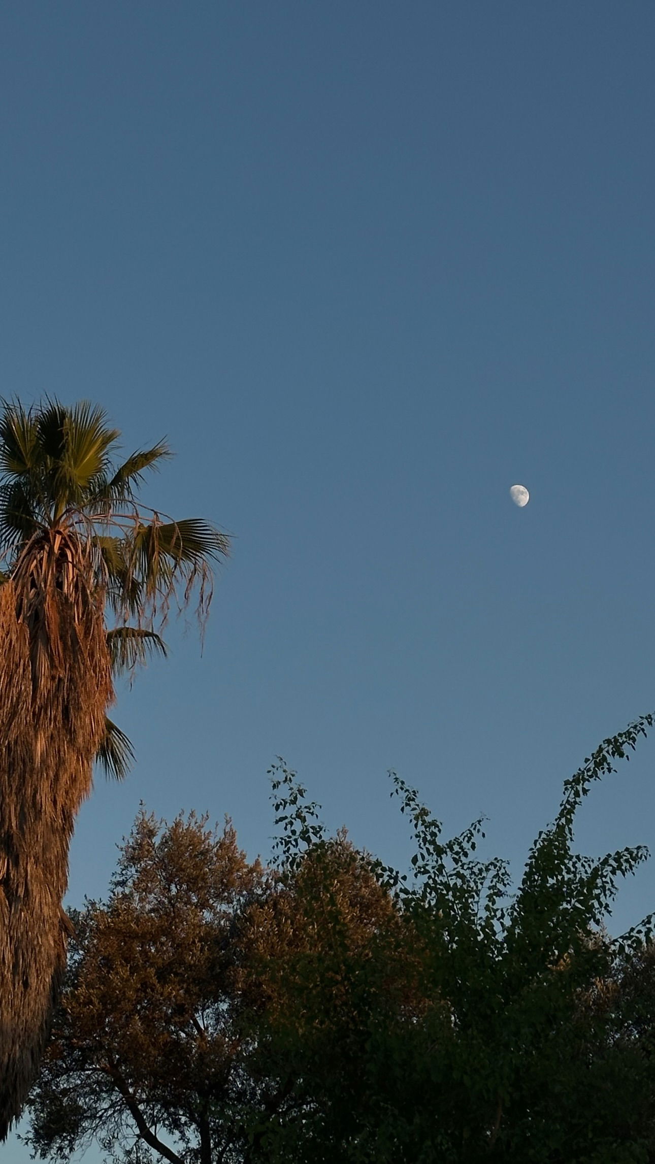 talweisswasser instagram image archive image