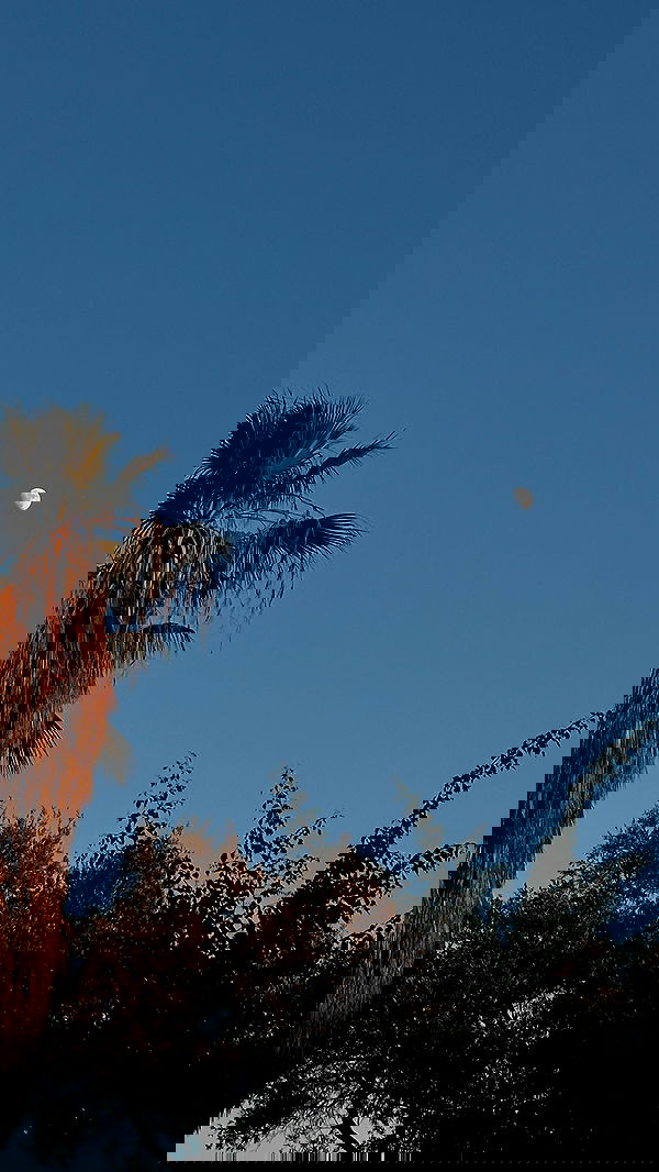 talweisswasser image ~ Altpins