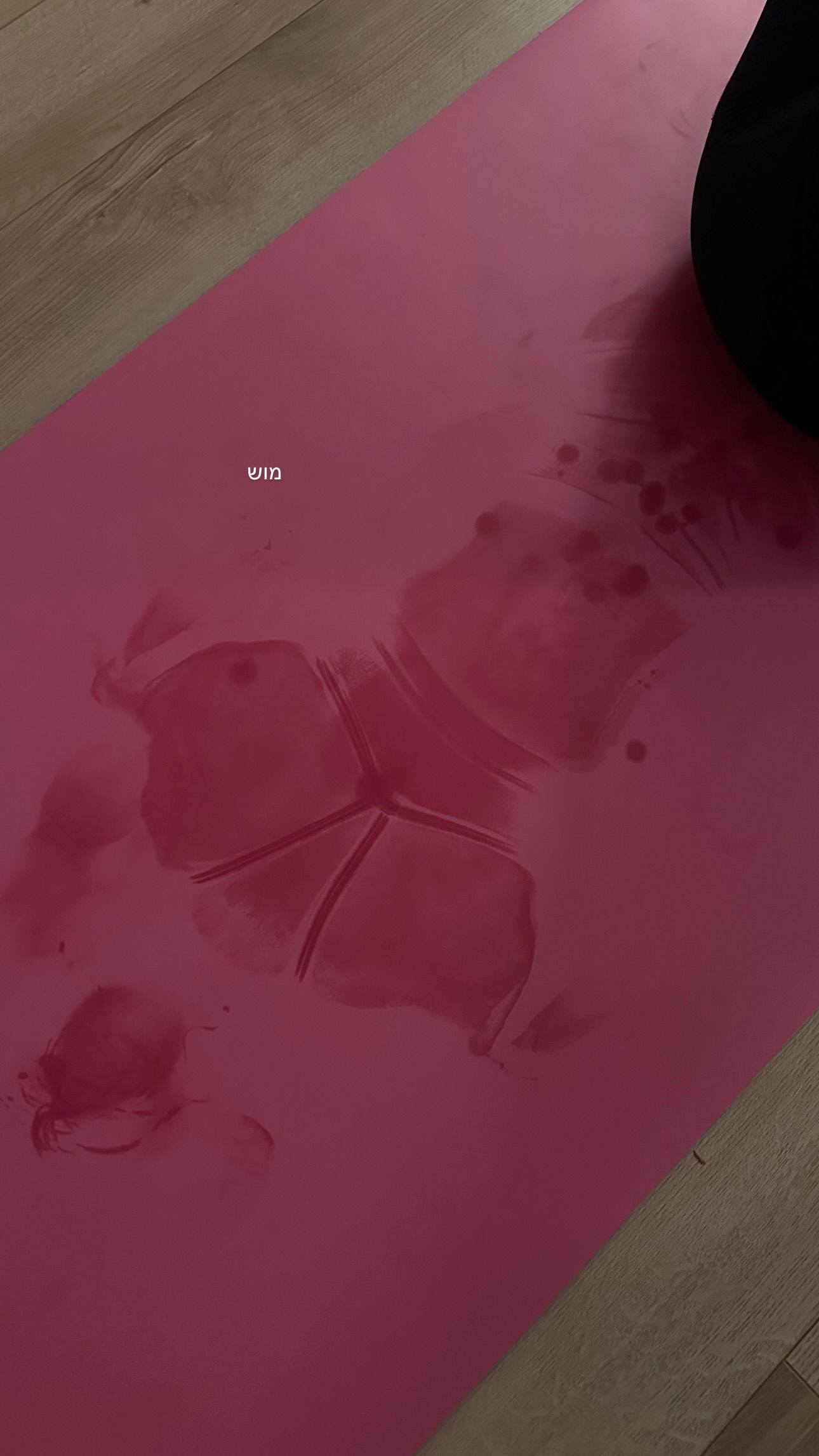 talweisswasser instagram image archive image