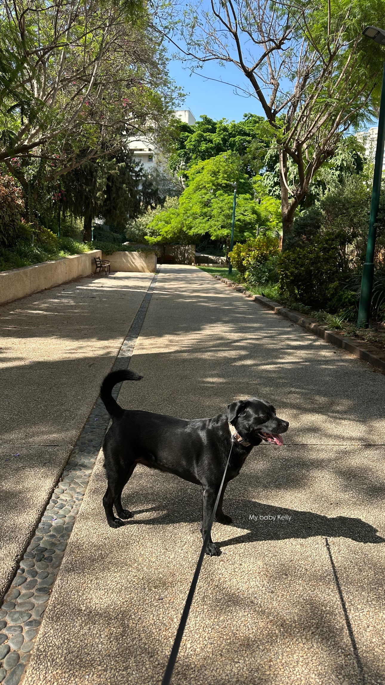 talweisswasser instagram image archive image