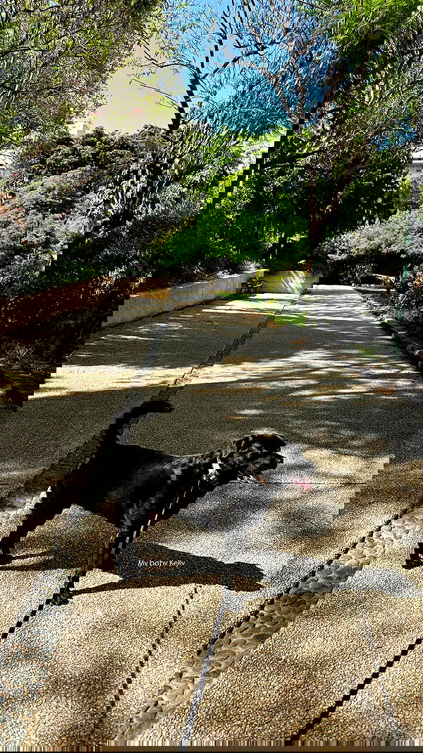 talweisswasser image ~ Altpins