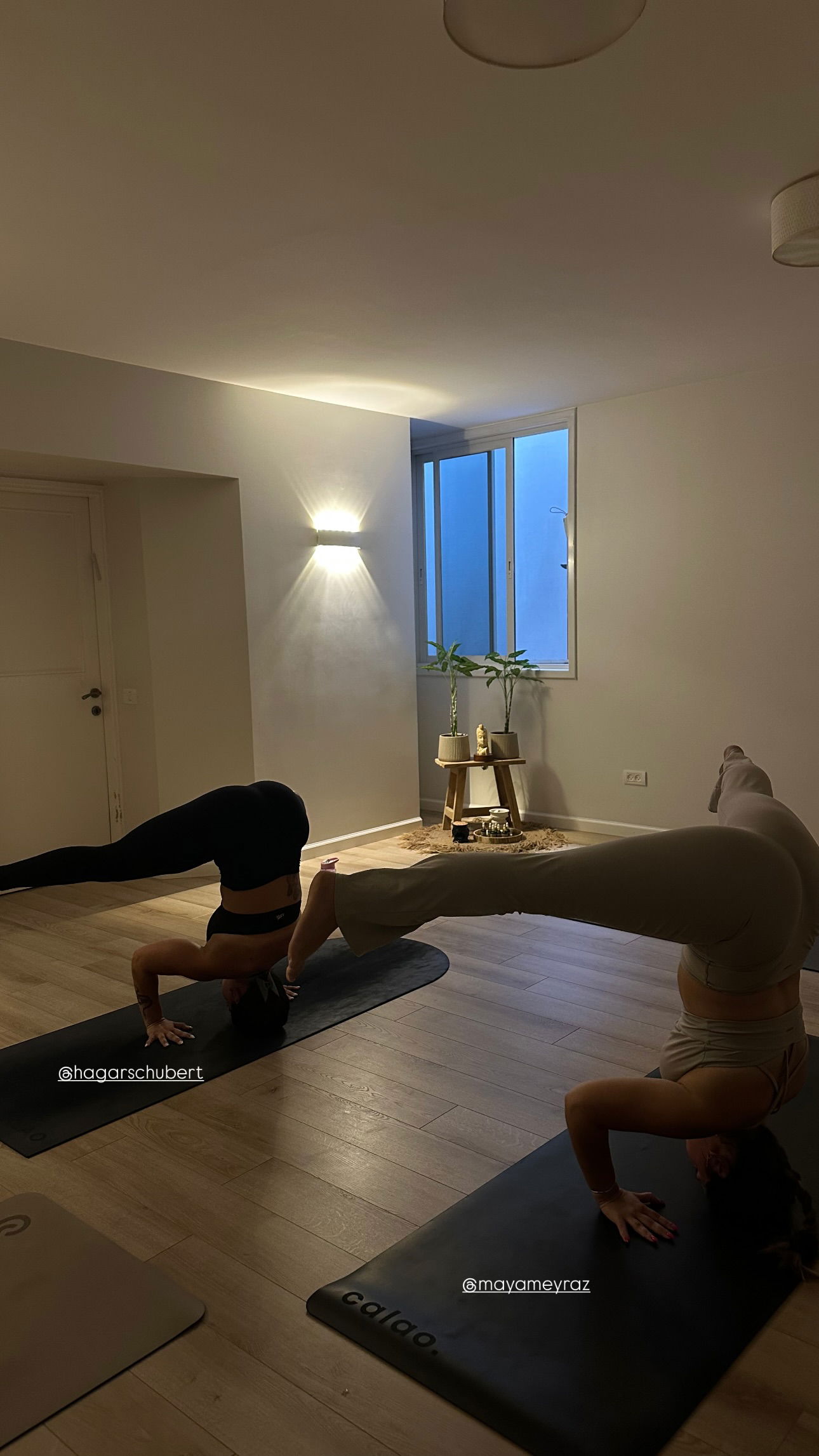 talweisswasser instagram image archive image