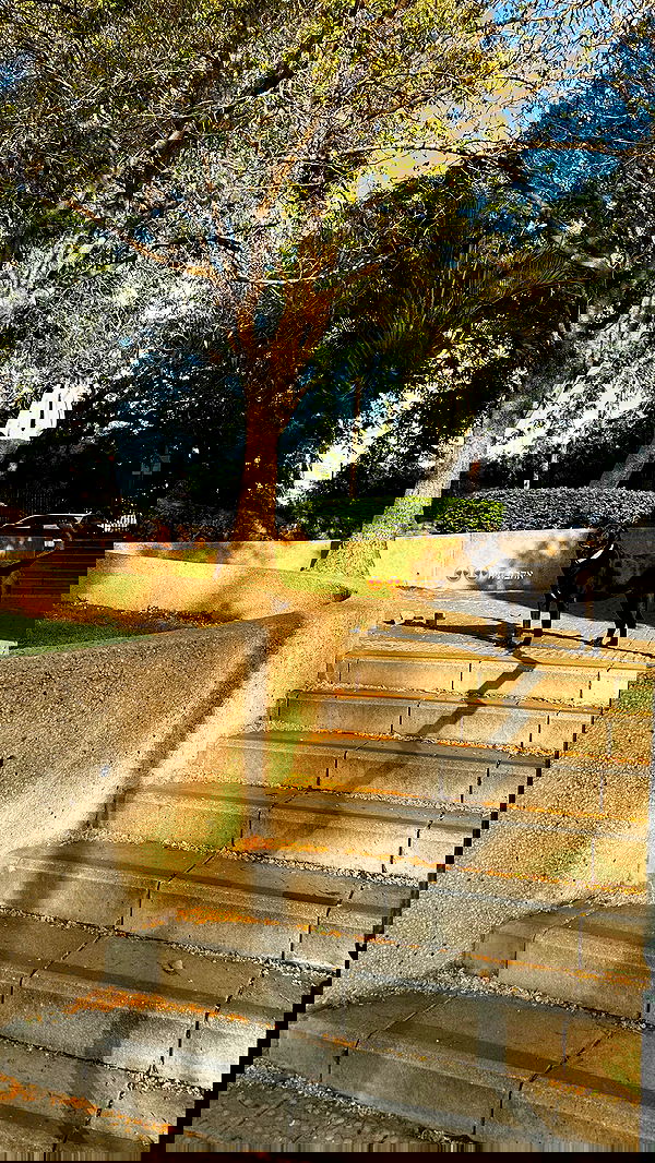 talweisswasser image ~ Altpins