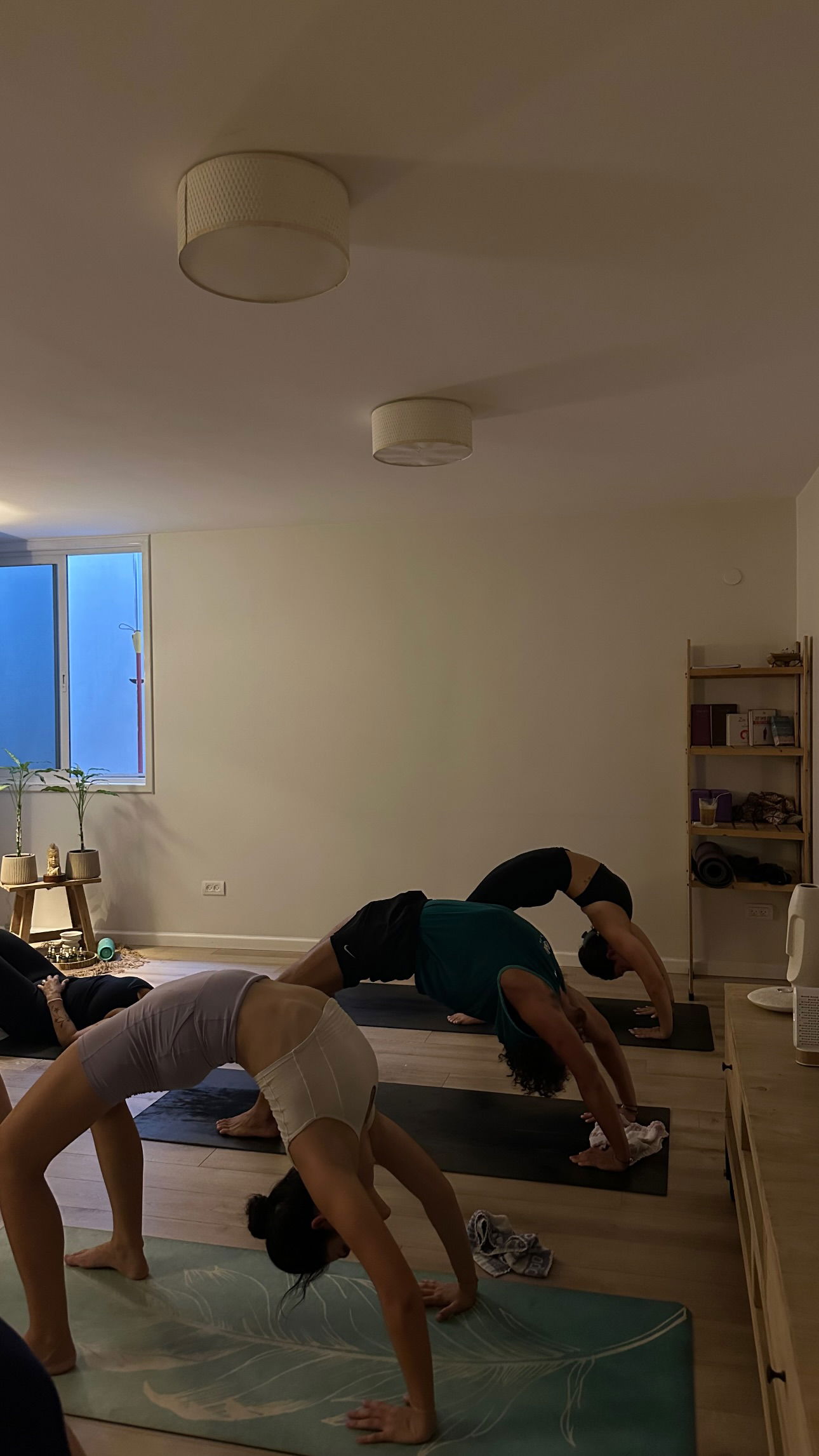 talweisswasser instagram image archive image