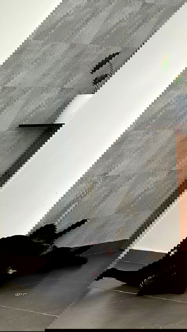 talweisswasser image ~ Altpins